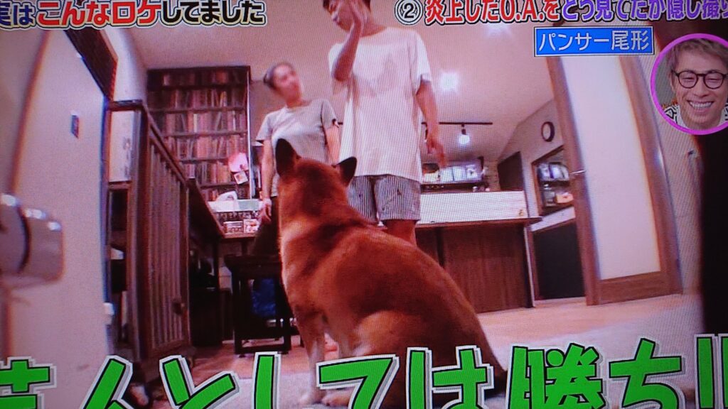 パンサー尾形の嫁